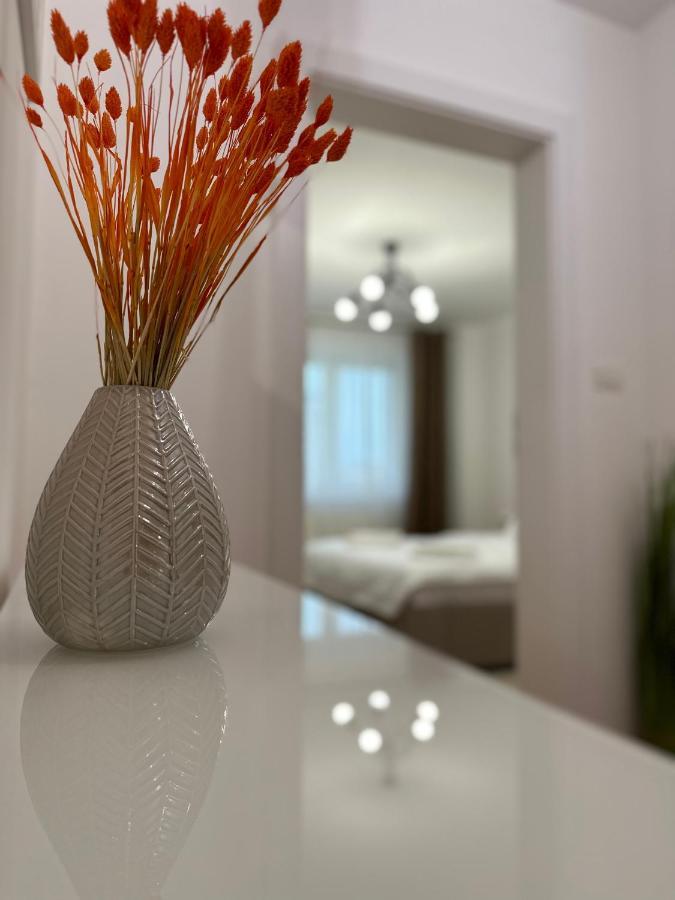 Esi Apartments #Central With Garage Timisoara Exterior foto